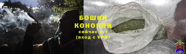 мдпв Верея