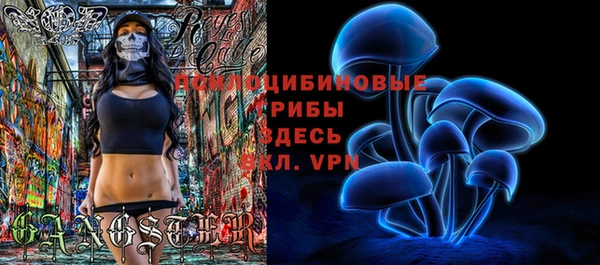 ГАЛЛЮЦИНОГЕННЫЕ ГРИБЫ Верхний Тагил