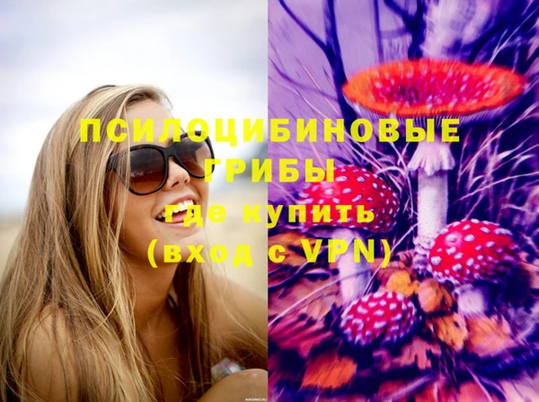мдпв Верея