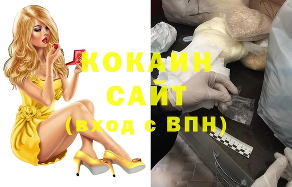 мдпв Верея