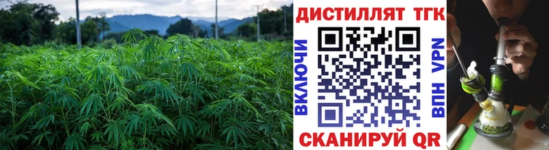 Купить закладки  Новокубанск  ТГК вейп с тгк 